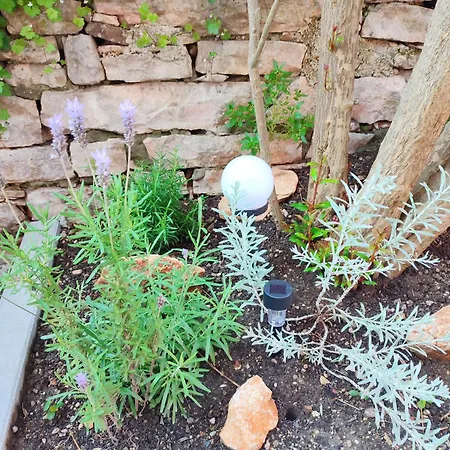 Center - With A Beautiful Terrace Apartman *