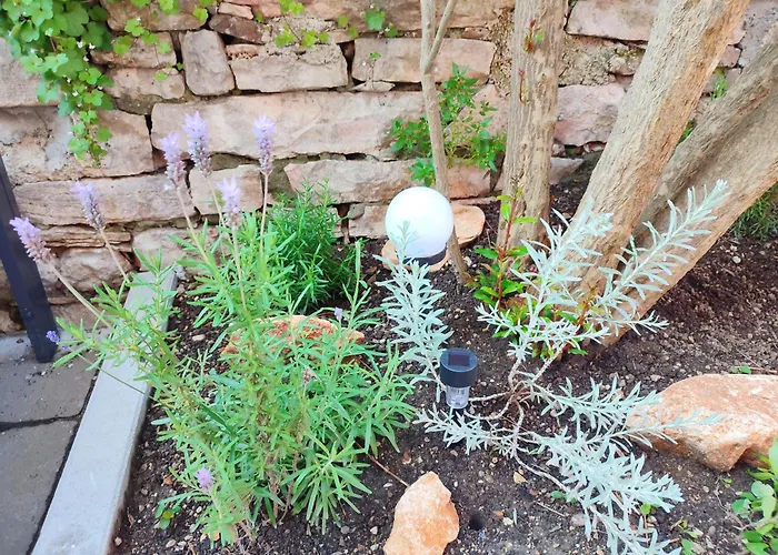 Center - With A Beautiful Terrace 아파트 *